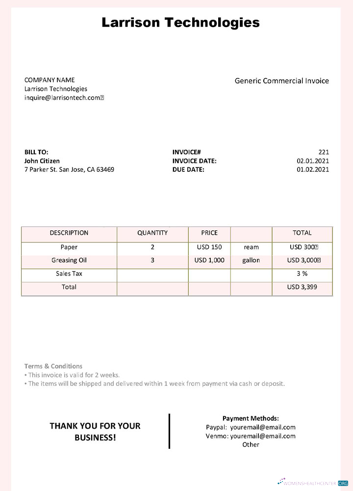 Download USA Larrison Technologies invoice template Photoshop template